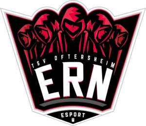 ESport Rhein-Neckar Logo | ESBD Mitglied